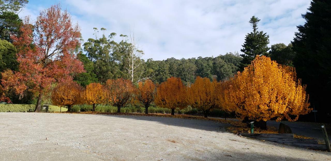 Panorama Retreat & Resort Kalorama Buitenkant foto